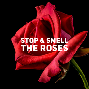 Stop And Smell The Roses - Tiffany Mika