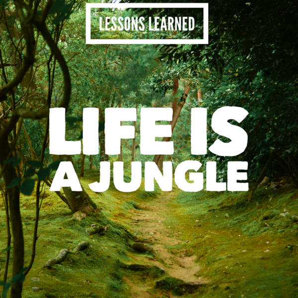 Lessons Learned: Life Is A Jungle