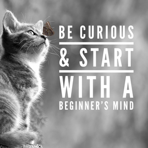 Be Curious And Start With A Beginner's Mind