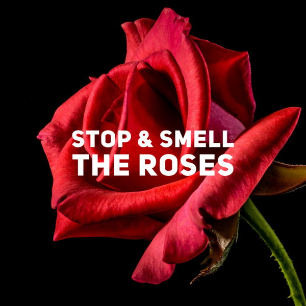Stop And Smell The Roses